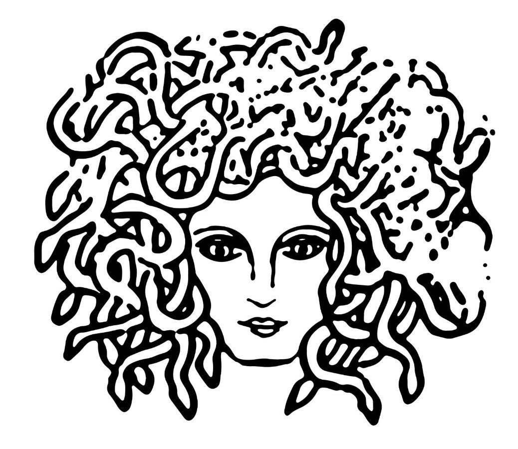 Medusa Duomo Guest House Naples Extérieur photo
